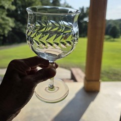 1930s Seneca Clear Crystal Water Goblets Laurel Wreath Leaf Cut 5pc Glows 365nm