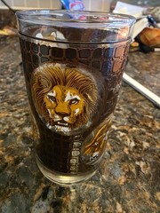 Vtg Libbey African Safari Animals Textured Highball Glass Flat Tumbler Set of 8