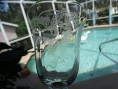 Unknown Maker UNK1414 Clear Panel Optic Glass Etched Thistle Water Goblet VGUC