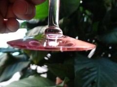 Central Glass Works 1428 Pink Glass Panel Optic 5″ Low Sherbet Very Good Cond.