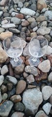 Set Of 2 «Maria» by Rosenthal Group Germany «Cassic Rose» Goblets