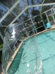 Crystal Clear Industries #2690 Stem Wheel Cut Floral Design 6oz Wine Glass EUC