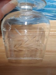 4 Tiny Clear Leaf Etched Brandy Style Cordial Glasses