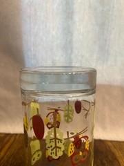 Libby Crisa Vintage Owl-Themed Glass Tumbler With Colorful Branch & Leaf Design