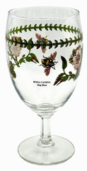 Portmeirion Botanic Garden Footed Ice Tea/Water Glass Rosa Canina Dog Rose