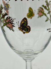Portmeirion Botanic Garden Footed Ice Tea/Water Glass Rosa Canina Dog Rose