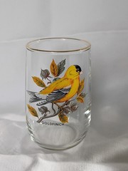 West Virginia Glass Speciality American Songbirds Pitcher Matching Glasses