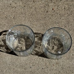 Springcore Butterflies & Flowers Tumbler Glass Pair Made In France
