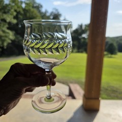 1930s Seneca Clear Crystal Water Goblets Laurel Wreath Leaf Cut 5pc Glows 365nm