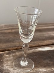Petite Mini Palm Etched Stemware Glass Wine Tasting