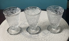 Paden City Glass 3oz Footed Tumbler Spring Orchard Etched