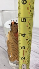 Sagittarius Zodiac Glass Tumbler Gold Vtg Highball 5 1/2″ Astrological Birthday