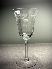 Lenox Castle Garden Wine Glass