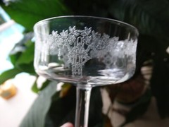 Monongah Glass Clear Panel Optic Etched Roseland 4 1/4″ Low Sherbet/Champagne