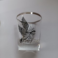 Vintage Canada Goose Silver Rimmed Barware Glasses Mixed Lot