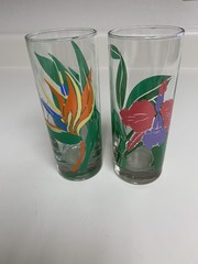 Vintage Libby Tropical glasses birds of paradise iris replacement set of 2