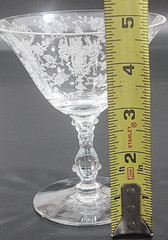 Cambridge Rose Point Clear Crystal Glass Low Sherbet Martini Champagne 4 3/4″