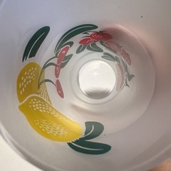 6 Vintage 60s Federal Glass Frosted Fruit Tom Collins Cocktail Tumblers MCM Bar