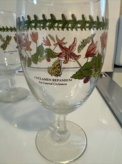 Portmeirion Botanic Garden 16oz Footed Tea Water Wine Goblets Glassss Lot Of 7