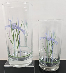(2) Corelle Shadow Iris 14 Oz Tumblers Set Single Flower Green Band Corning Lot