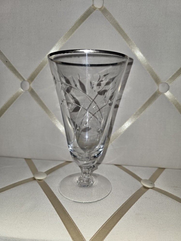 Vintage Fostoria Etched Glass Goblet with Silver Rim