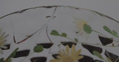 Hobbs Cranberry Floral Enamel Optic Cheese Dome