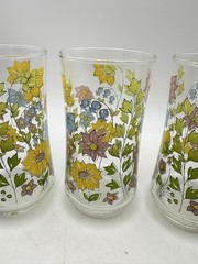 Vintage Corelle Spring Meadow Floral 10 oz Tumbler Glasses Set Of 4