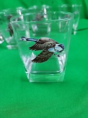 Lot Of 7 Wild Foul Game Birds Whiskey Glasses Weighted Bottoms Vintage