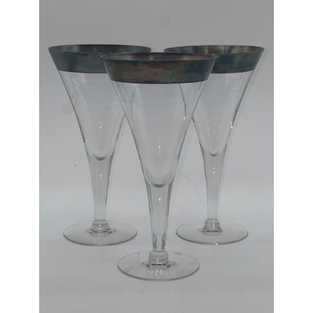 VTG Water Goblet Silver Band Dorothy Thorpe H 7 1/2 in W 3 7/8 in Blown Glass US