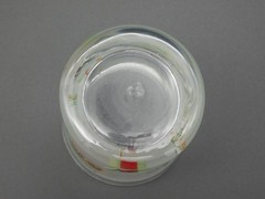 6 Pfaltzgraff Winterwood Green 6 oz Frosted Lowball Cocktail Glasses Chickadee