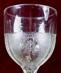 Beaded Acorn Medallion Goblet Adams & Co EAPG Clear Glass 1872 #141