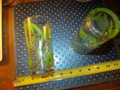 Set Of 2 Vintage Clear Juice Glasses & Green Leaf Drinking Retro