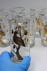Libbey Partridge Pear Tree Rocks High Ball Glasses 22k Gold Rim MCM Lot of 8