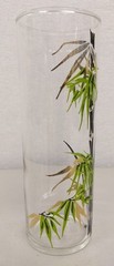 2 Vintage FEDERAL GLASS Mid Century Modern GOLD BAMBOO Highball Drinking Glasses