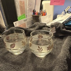 Set of 2 Clear Glass Round Tumbler Glasses with Leaf Floral Pattern, Decor