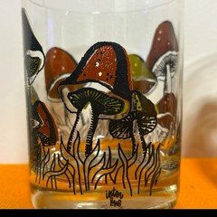 Vintage 1970s Mushroom Rocks Glasses Set Of 4 Inter Line Retro Barware Boho