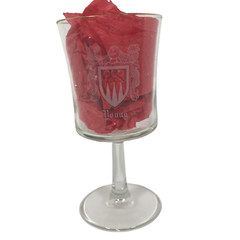 YOUNG Etched Coat Of Arms Family Crest 6.75in X 3.25in Wine Glass Water Goblet