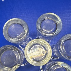 Unmarked 6-Piece Clear Glass Cordial Glass Set – 1 oz Capacity, Glass