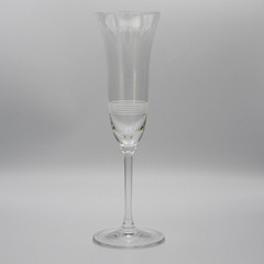 Wedgwood Vera Wang Classic Etched Circles Crystal Champagne Flute Trumpet Glass