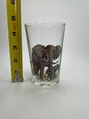 Elephant Highball Glass Stemless Drinking 8 oz Nice Art Works Hand Printed C71