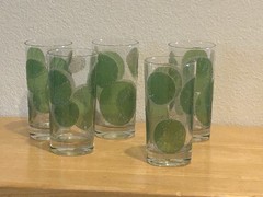 Vintage Fred Press Highball Glasses Raised Sugared Lime Slices Set of 5 Signed