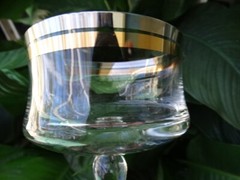 Unknown Maker UNK4693 Blown Clear Glass Platinum Gold Band Short Champagne VGUC