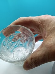 Federal Glass WINDSOR ROYAL BRIGHTON Tumblers