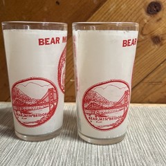 2 Vintage Bear Mountain NEW YORK Hazel Atlas MCM Frosted Glasses Tumbler State