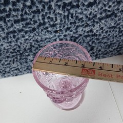 Wild Rose Madonna Inn Clear Pink Glass Water Goblet 6.5″ NEW!
