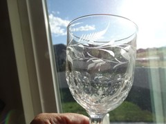 EAPG US Glass Co. Honeycomb Fern Etched Water Goblet Very Good Used Condition