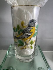 Vintage Song Birds Tumblers Lemonade Pitcher Tumbler Set West Virginia Glass MCM