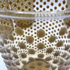 (5) Vintage Libbey MCM Amber Hobnail Drinking Glass Tumblers 4.5″ Tall G1002