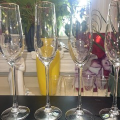 Wolf Balls Champagne Flute Glass Set of 4 Crystal Wine Glasses