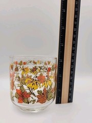 Vintage Libby Libbey Harvest 6 oz Rock Water Juice Glass Indian Summer